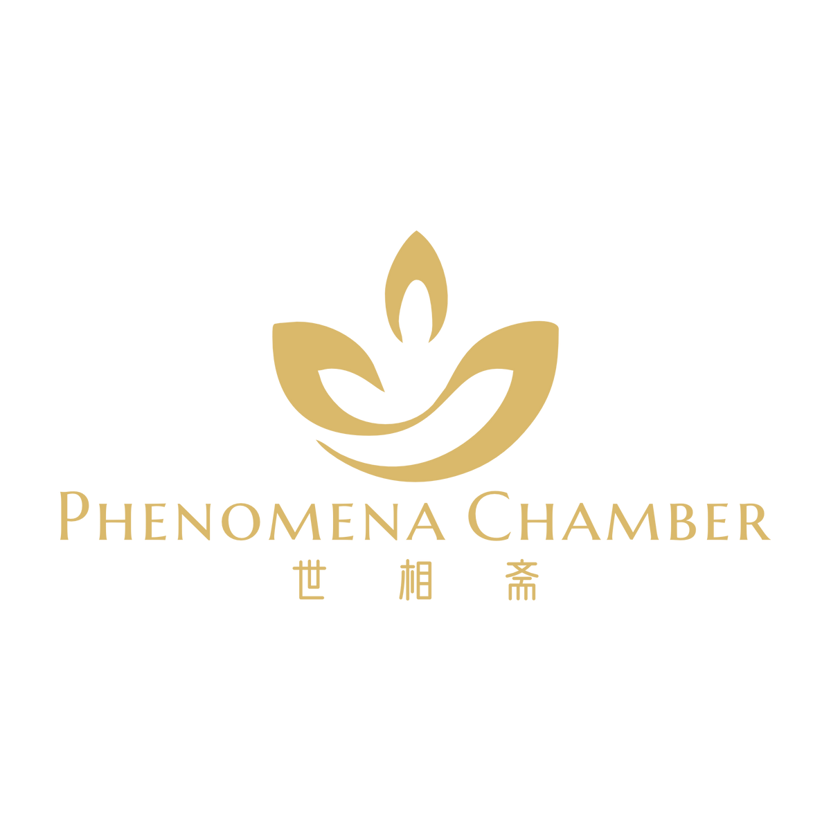 PHENOMENA CHAMBER