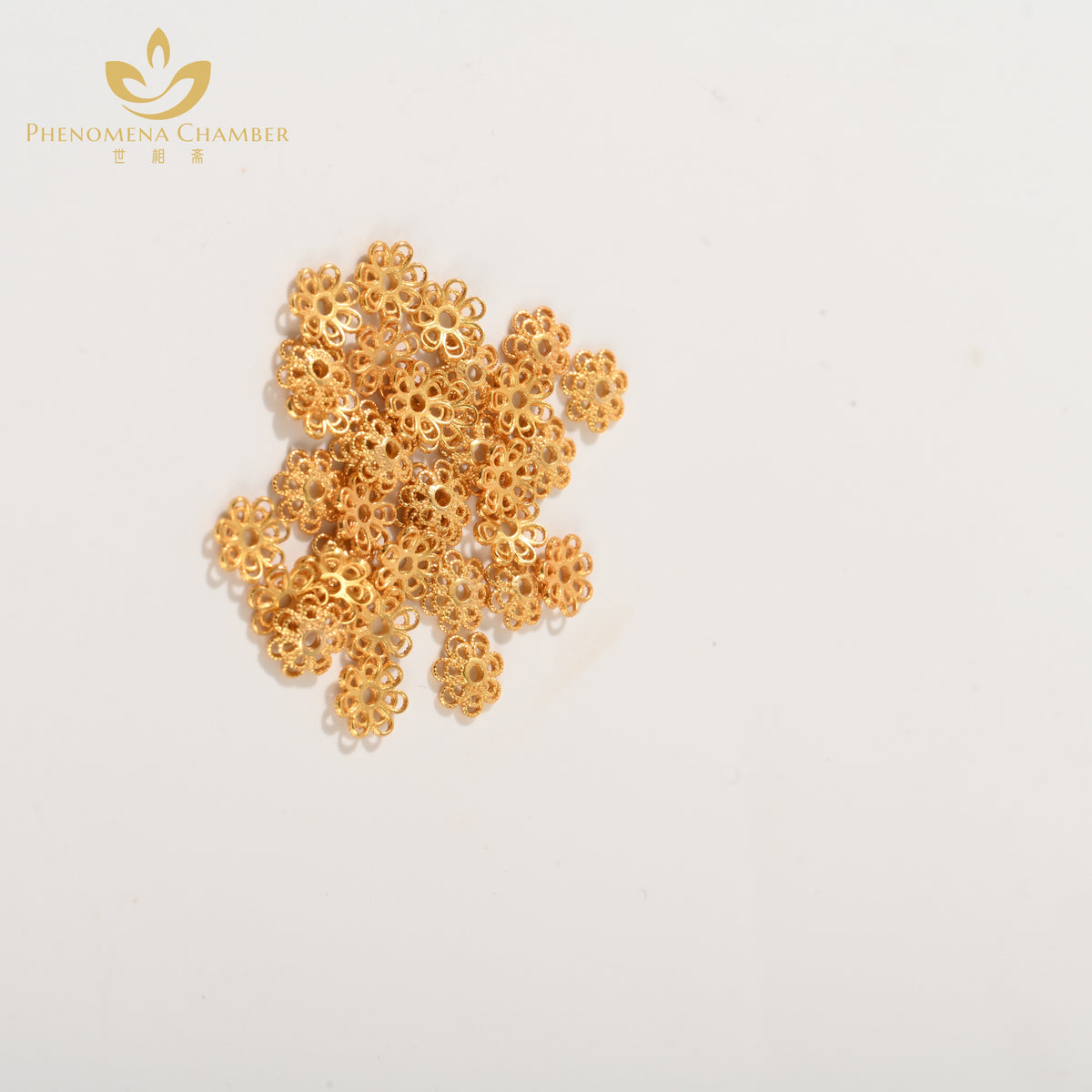 PHENOMENA CHAMBER Gold-plated silver metal fittings 1008