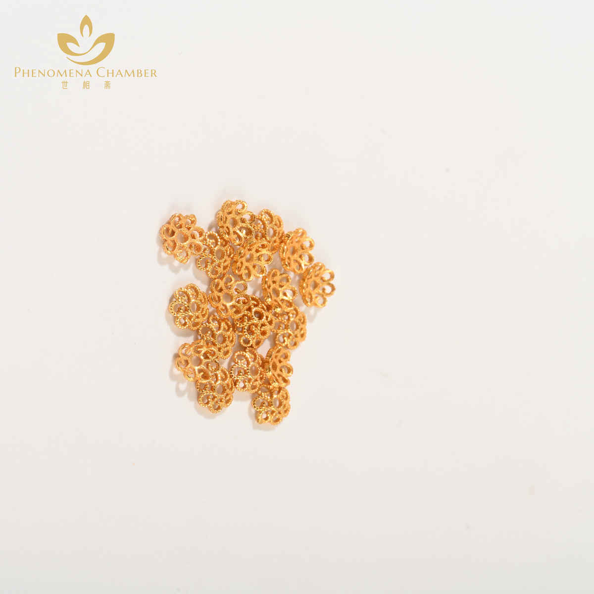 PHENOMENA CHAMBER Gold-plated silver metal fittings 1010