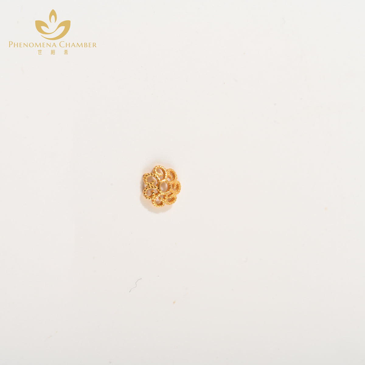 PHENOMENA CHAMBER Gold-plated silver metal fittings 1010